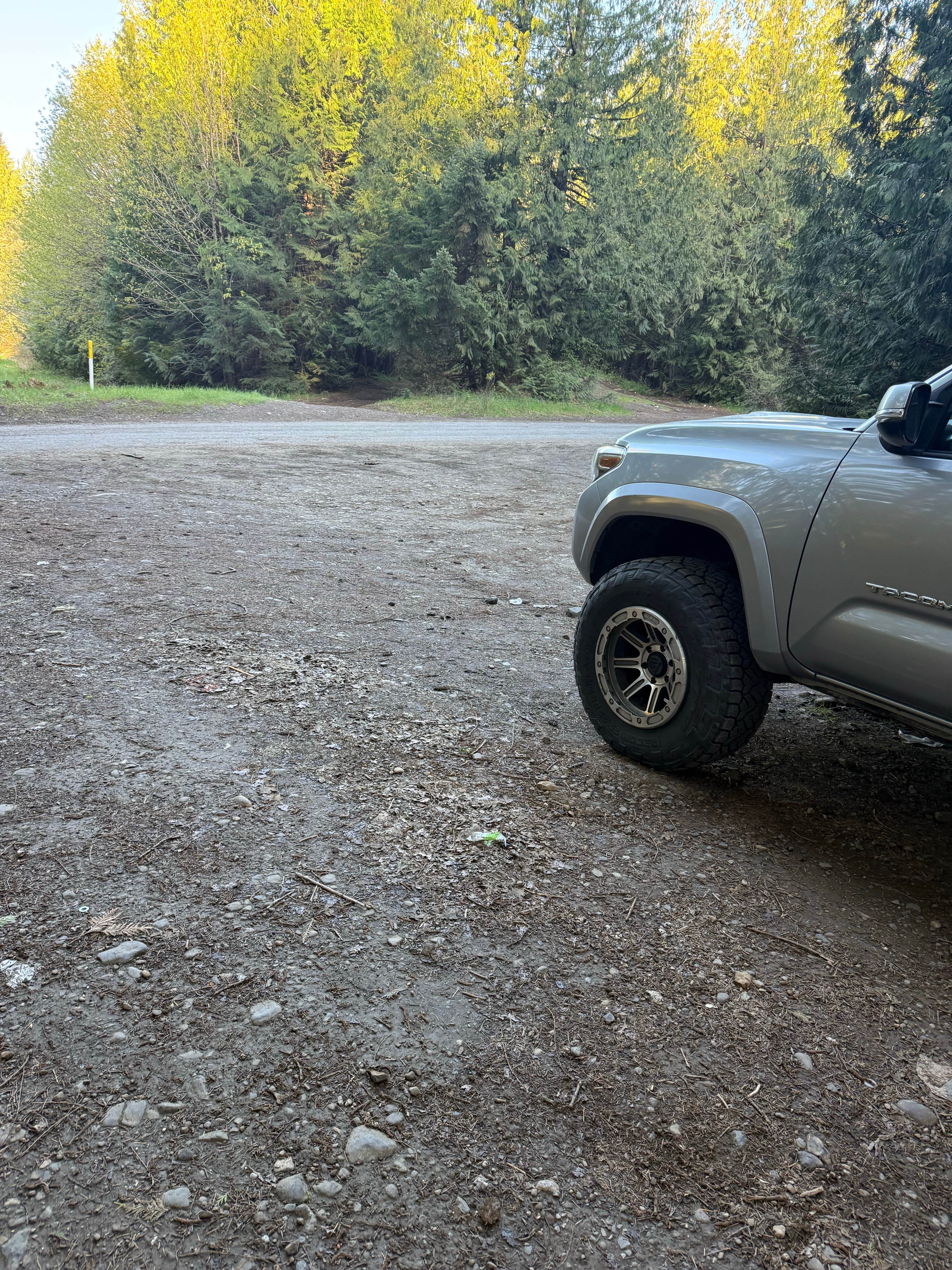 Camper-submitted photo at Rock Candy Mountain Trailhead near Shelton, WA