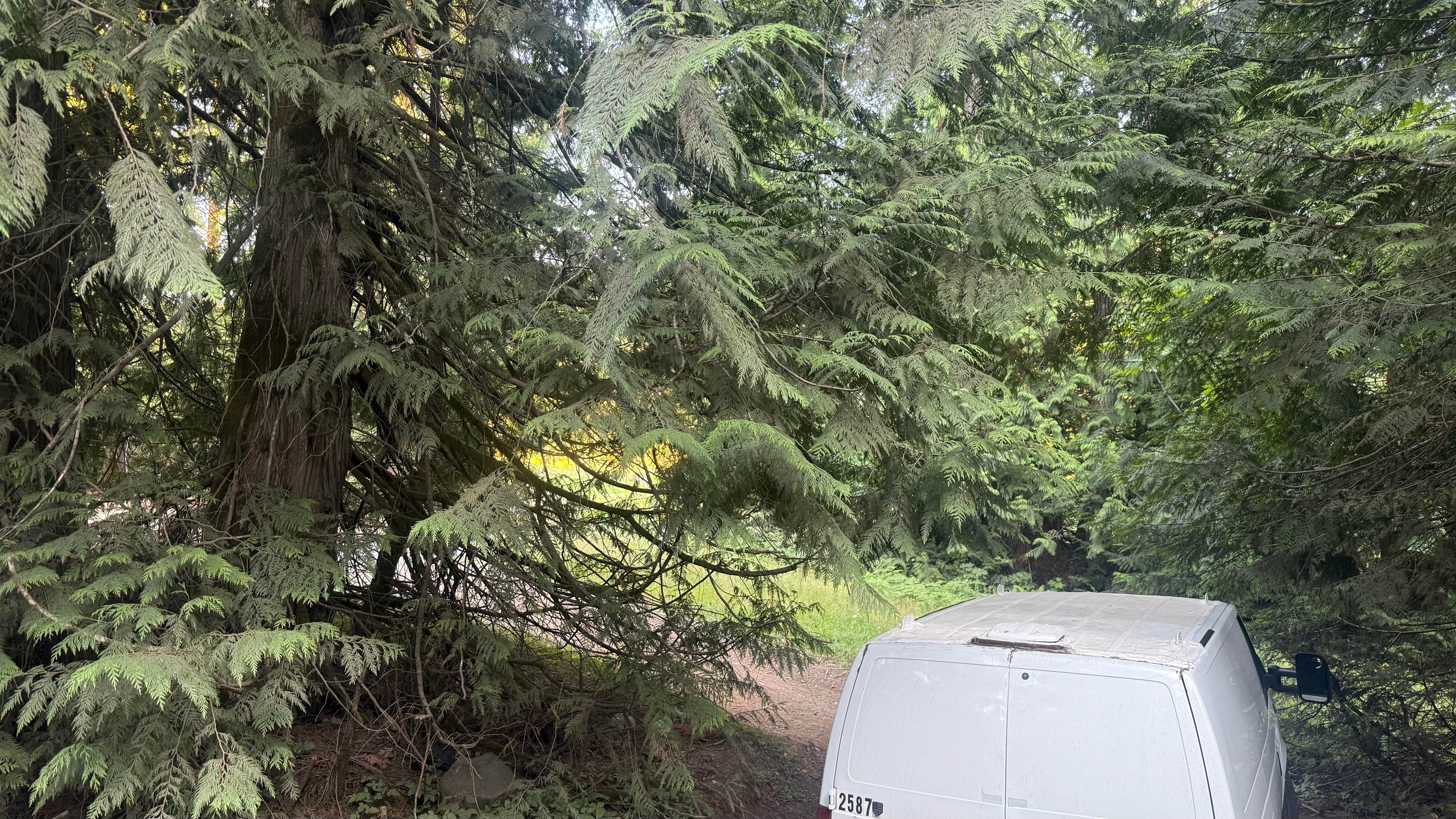 Camper-submitted photo at Rock Candy Mountain Trailhead near Gig Harbor, WA