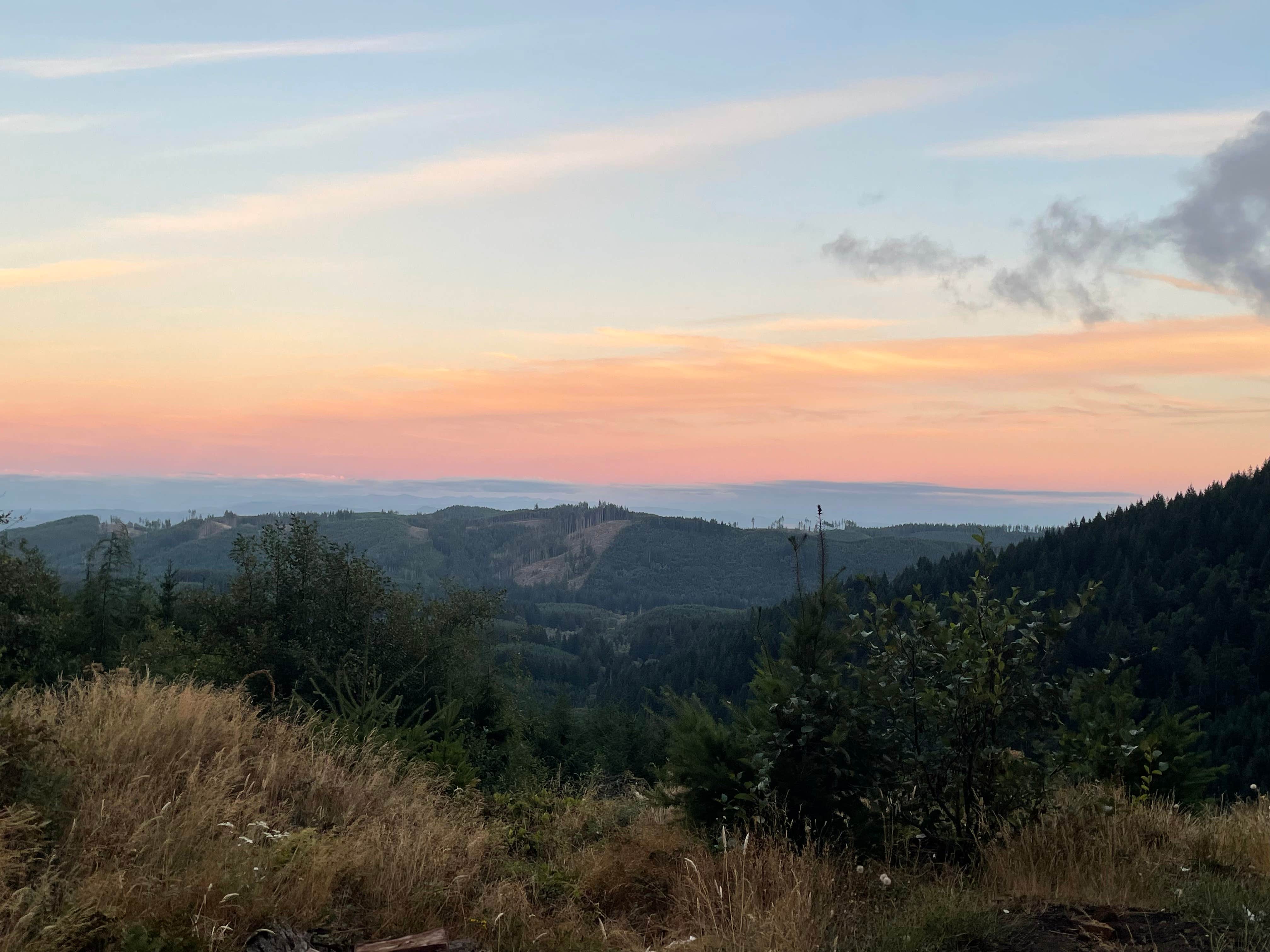 Camper-submitted photo at Rock Candy Mountain Trailhead near Yelm, WA