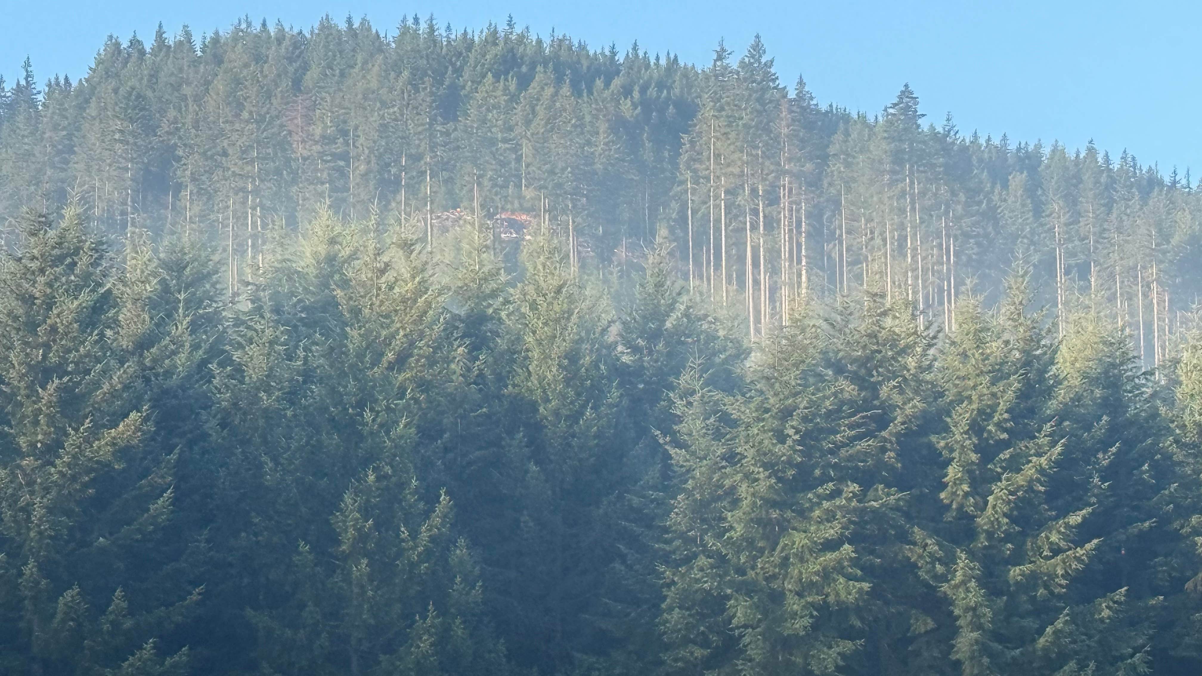 Camper-submitted photo at Rock Candy Mountain Trailhead near Gig Harbor, WA