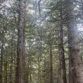Review photo of Rock Candy Mountain Trailhead by Darron S., July 19, 2026