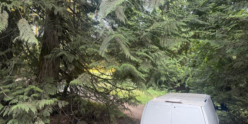 Camper submitted image from Rock Candy Mountain Trailhead