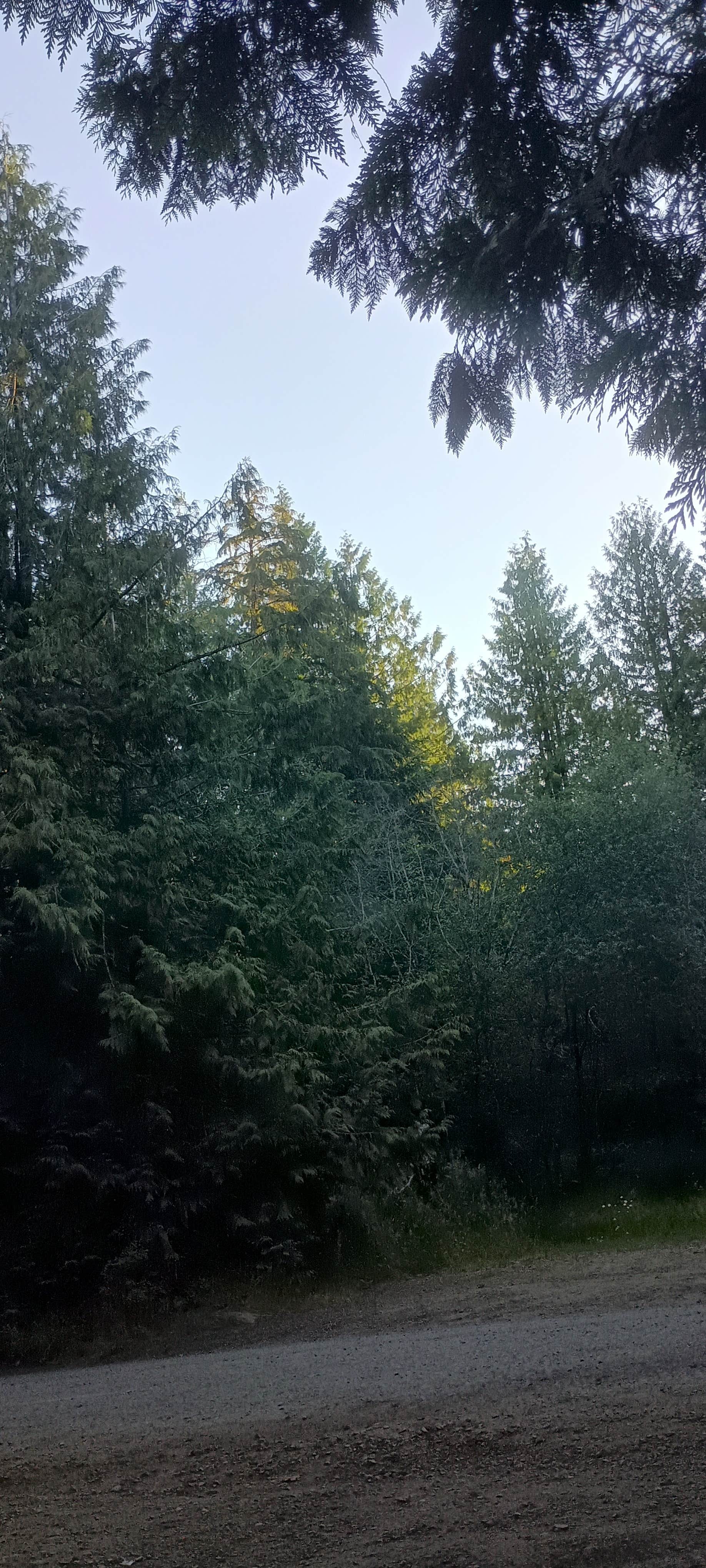 Camping near American Heritage Campground: Rock Candy Mountain Trailhead, Tumwater, Washington