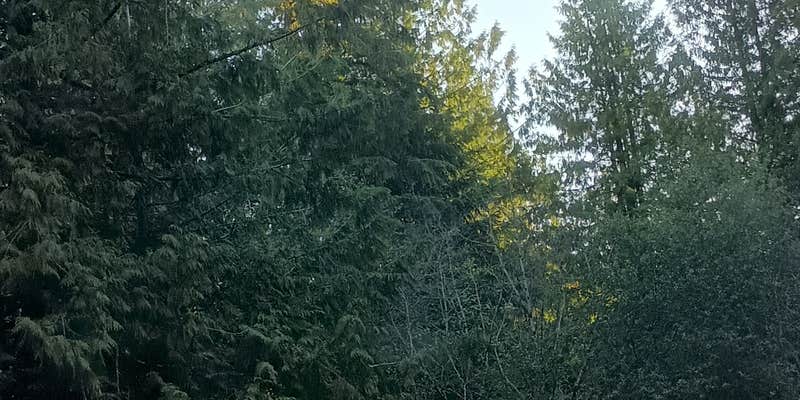 Camper submitted image from Rock Candy Mountain Trailhead