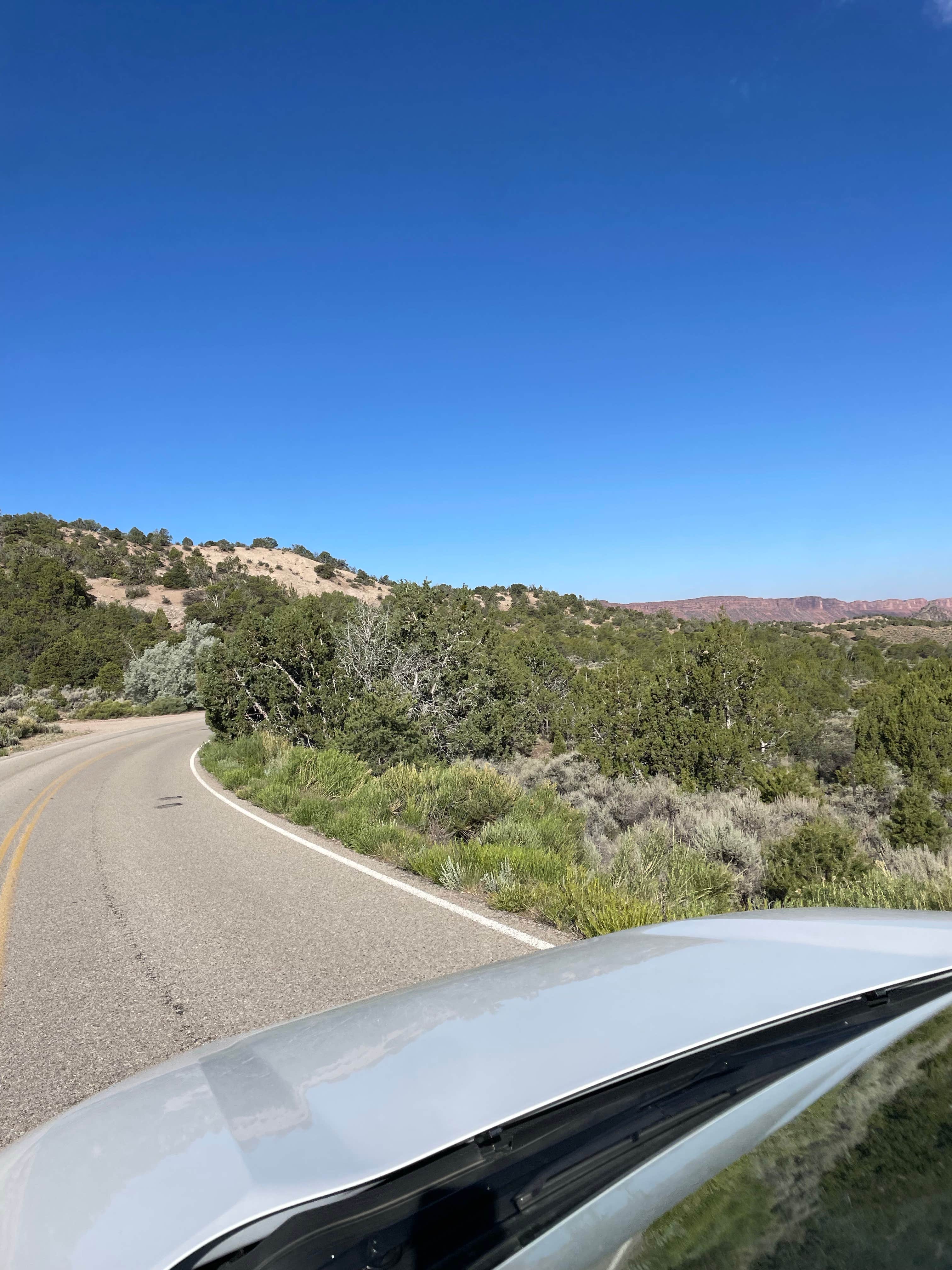 Camper-submitted photo at Rock Castle Camping Area near Mack, CO