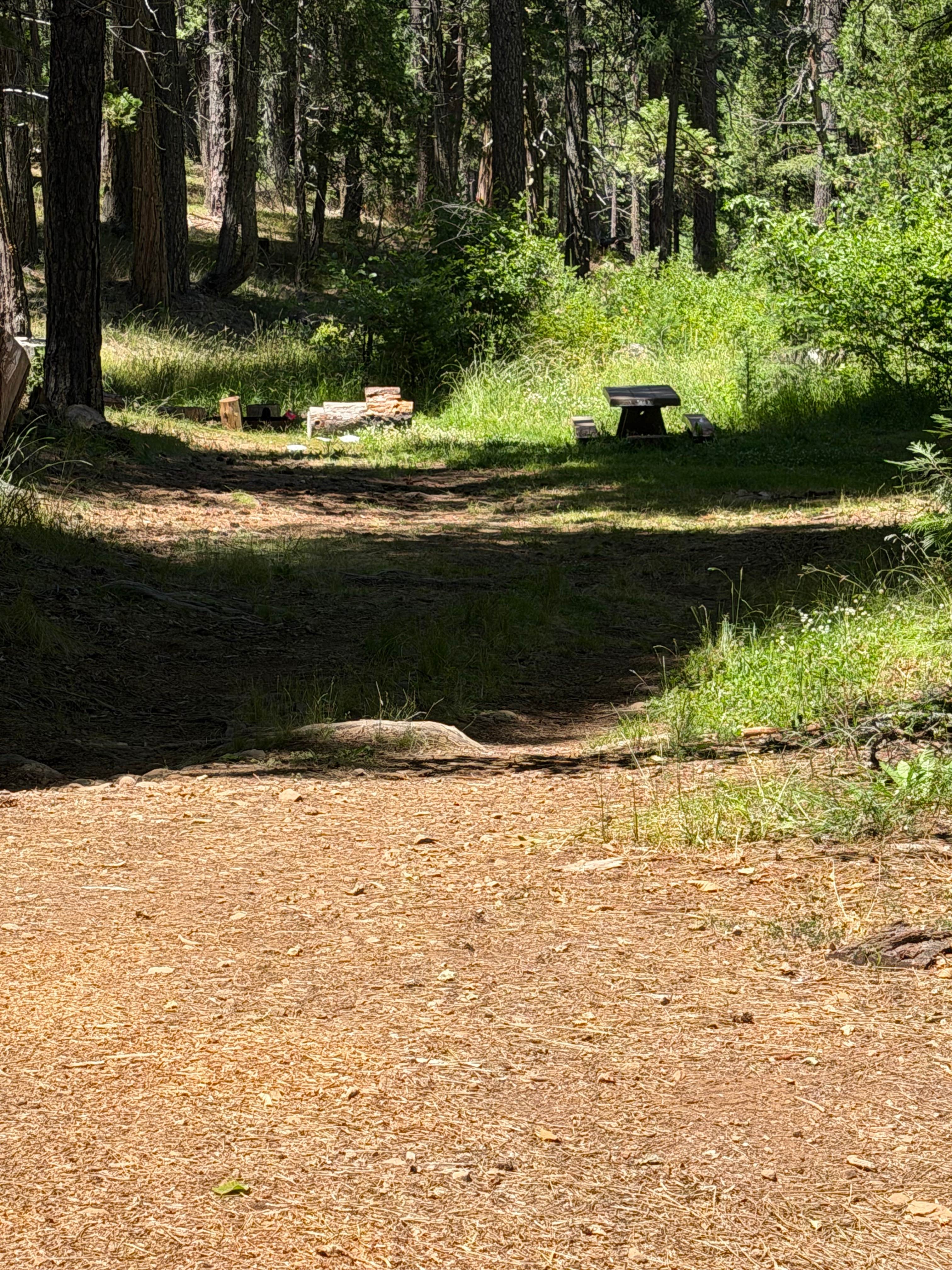 Camper-submitted photo at Rock Creek Campground (Ca) — Plumas National Forest near Meadow Valley, CA