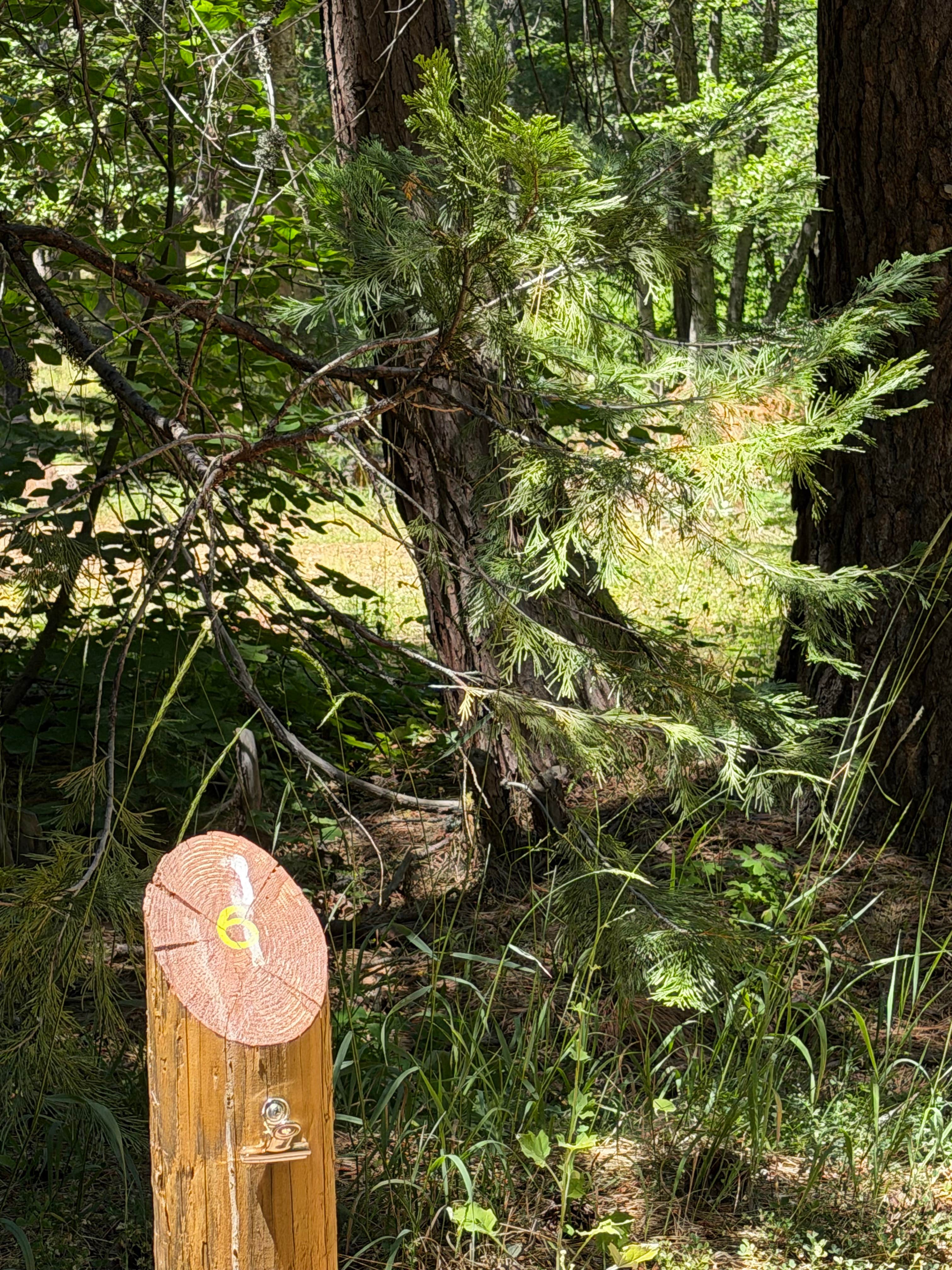 Camping near R&R RV Park at Feather River Hot Springs: Rock Creek Campground (Ca) — Plumas National Forest, Meadow Valley, California