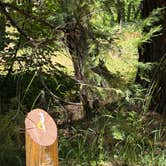 Review photo of Rock Creek Campground (Ca) — Plumas National Forest by Patricia N., July 16, 2026