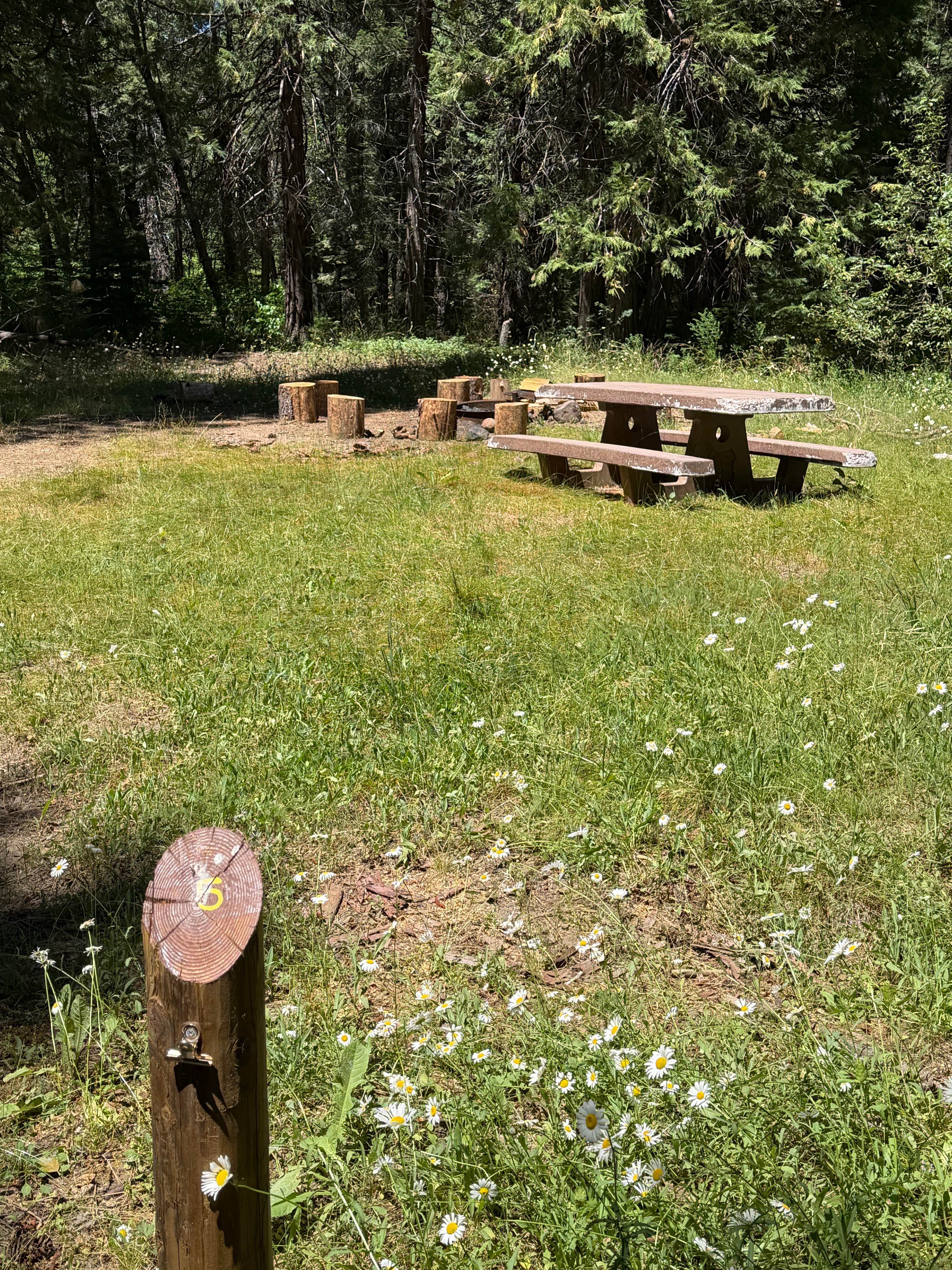 Camper-submitted photo at Rock Creek Campground (Ca) — Plumas National Forest near Meadow Valley, CA