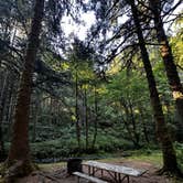 Review photo of Rock Creek Campground - Siuslaw by Erika V., August 2, 2025