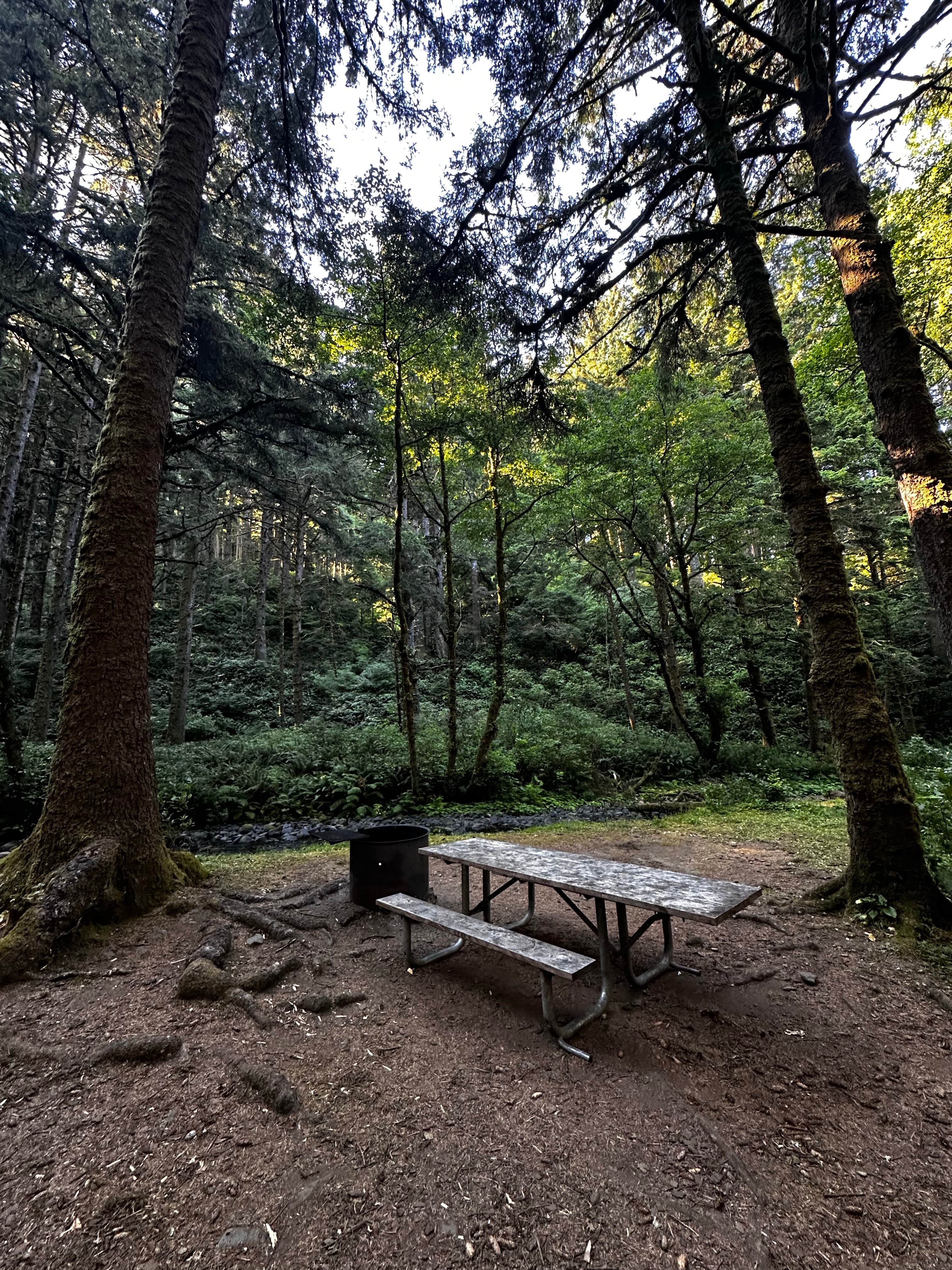 Camper submitted image from Rock Creek Campground - Siuslaw - 3