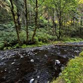 Review photo of Rock Creek Campground - Siuslaw by Erika V., August 2, 2025