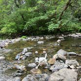 Review photo of Rock Creek Campground - Yacolt Burn State Forest by Amy W., June 25, 2026