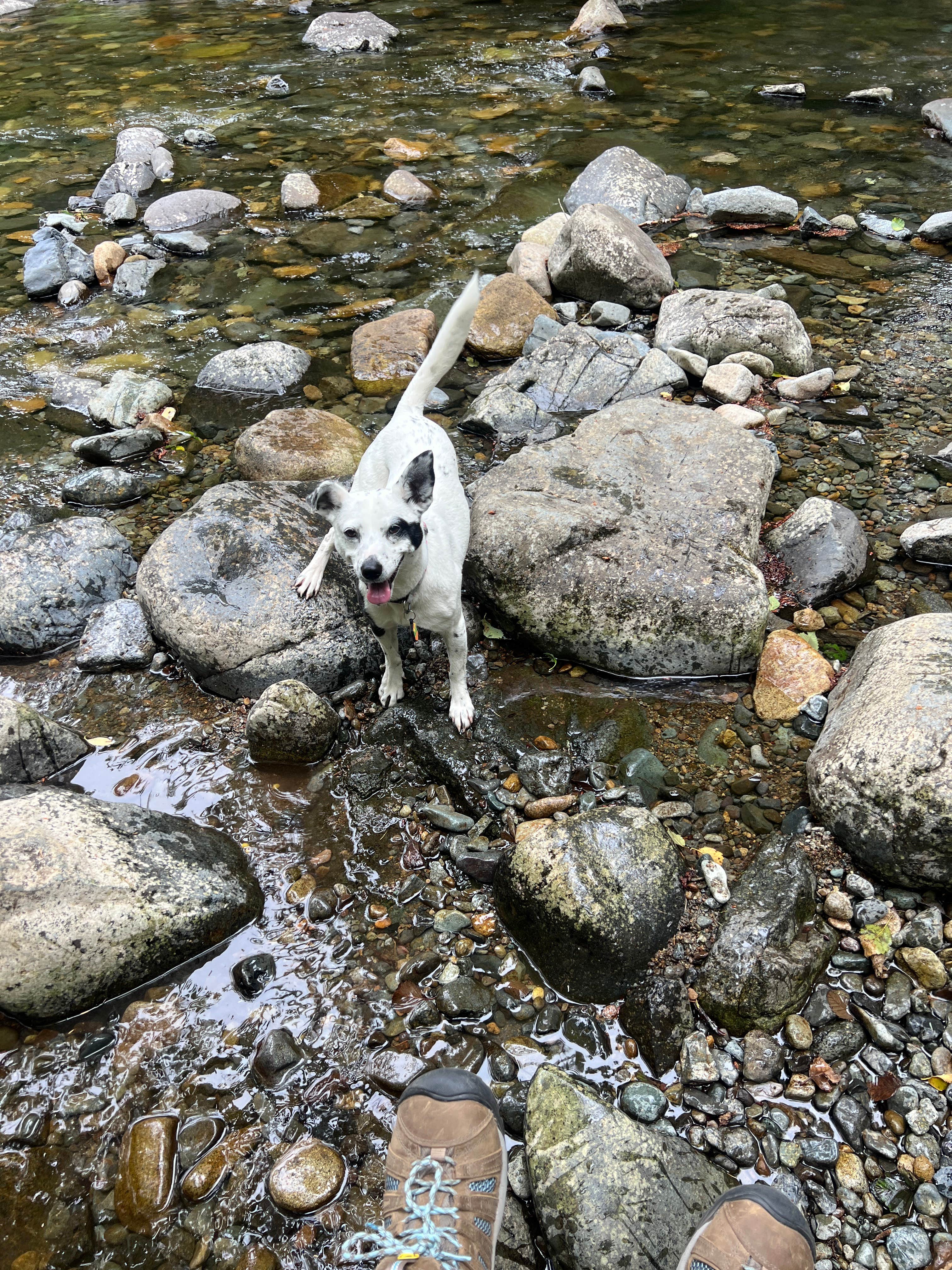 Camper-submitted photo at Rock Creek Campground - Yacolt Burn State Forest near Gladstone, OR