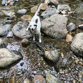 Review photo of Rock Creek Campground - Yacolt Burn State Forest by Amy W., June 25, 2026
