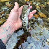Review photo of Rock Creek Campground - Yacolt Burn State Forest by Brandon B., April 20, 2025