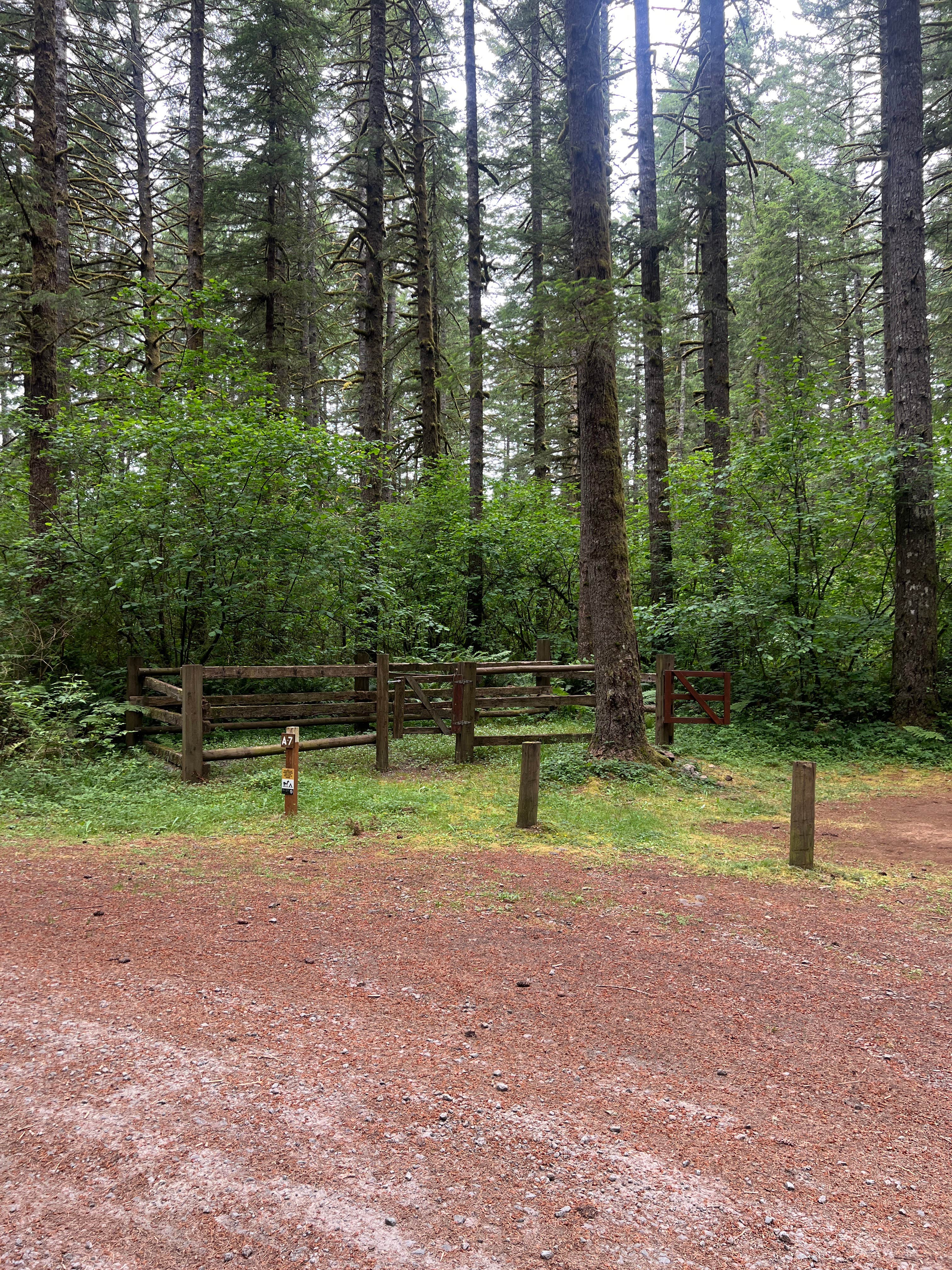 Camper-submitted photo at Rock Creek Campground - Yacolt Burn State Forest near Gladstone, OR