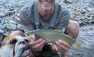 Tim H.'s photo of camping with pets at Rock Creek Dry Campsites near Florence, MT