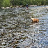 Review photo of Rock Creek Dry Campsites by Tim H., August 19, 2025