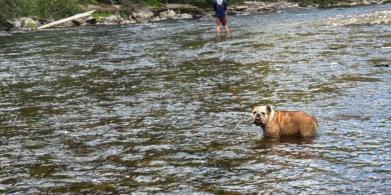 Camper submitted image from Rock Creek Dry Campsites