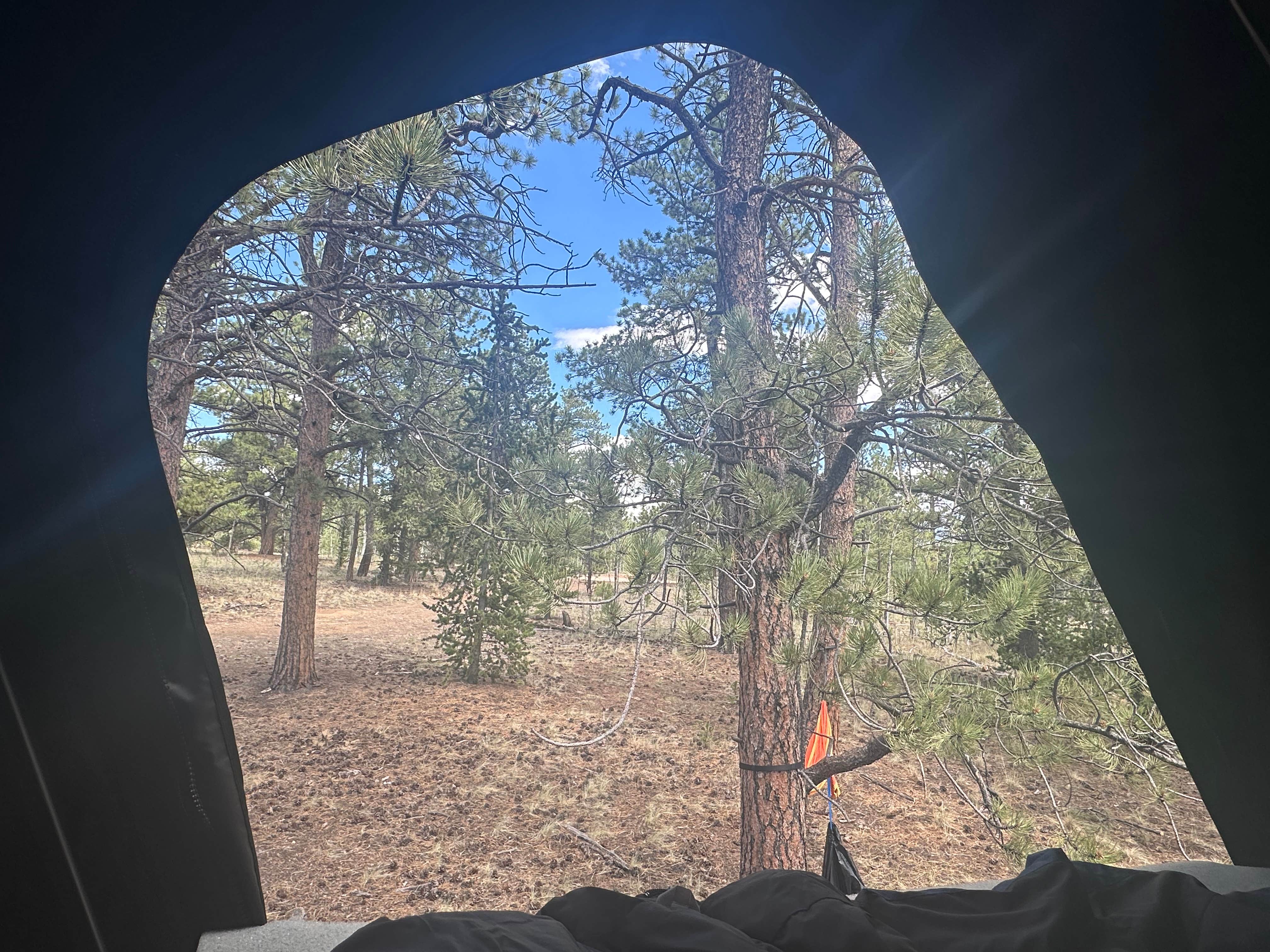 Camping near Kenosha Pass East Dispersed: Rock Creek Hills Road, Jefferson, Colorado