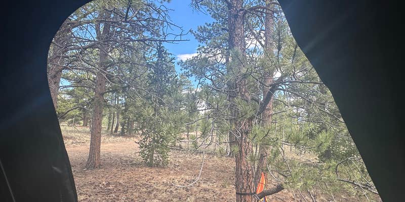 Camper submitted image from Rock Creek Hills Road