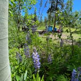 Review photo of Rock Creek Trailhead by Amy L., July 5, 2024