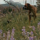Review photo of Rock Creek Designated Dispersed Camping by Mack Daddy Van L., July 17, 2025