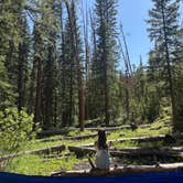 Review photo of Rock Creek Designated Dispersed Camping by Jane W., June 29, 2025