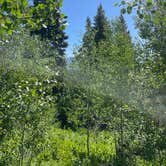 Review photo of Rock Creek Designated Dispersed Camping by Jane W., June 29, 2025