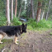 Review photo of Rock Creek Designated Dispersed Camping by Kevin K., August 6, 2025