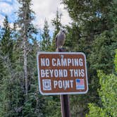 Review photo of Rock Creek Designated Dispersed Camping by Aiden , August 27, 2026