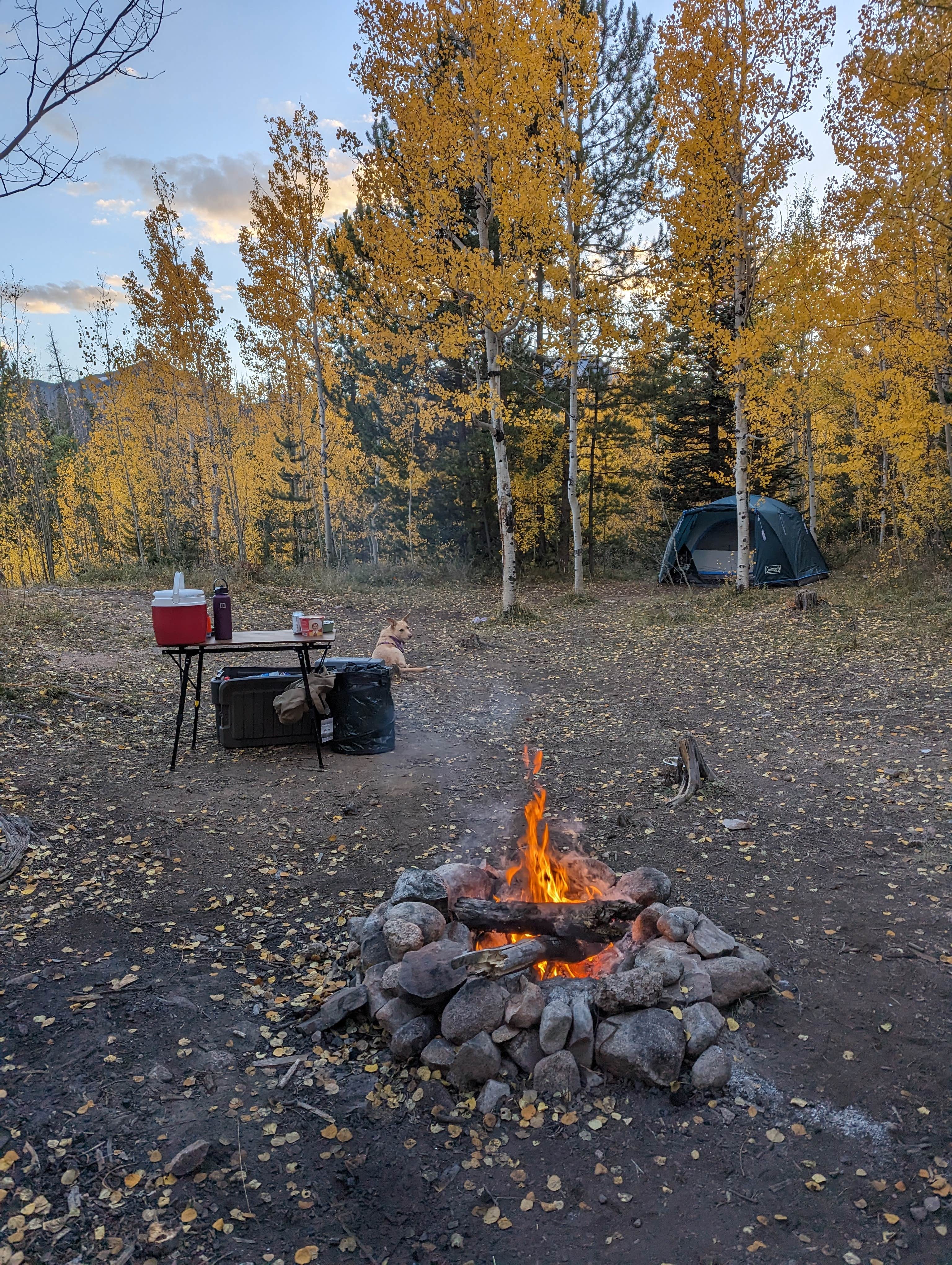 Camper submitted image from Rock Creek Trailhead - 4