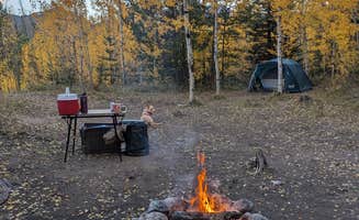 Lily N.'s photo at Rock Creek Designated Dispersed Camping near Dillon, CO