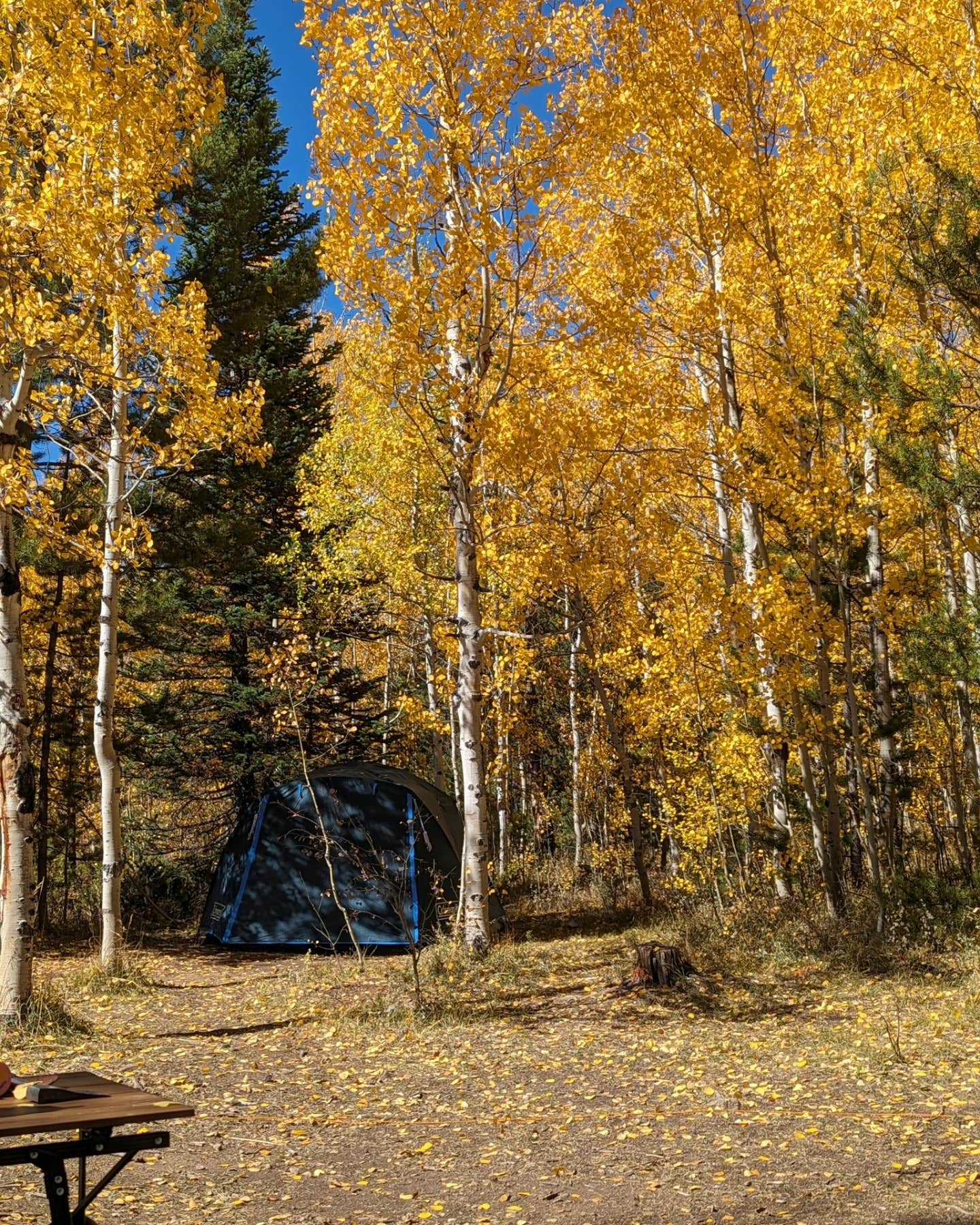 Rock Creek Designated Dispersed Camping