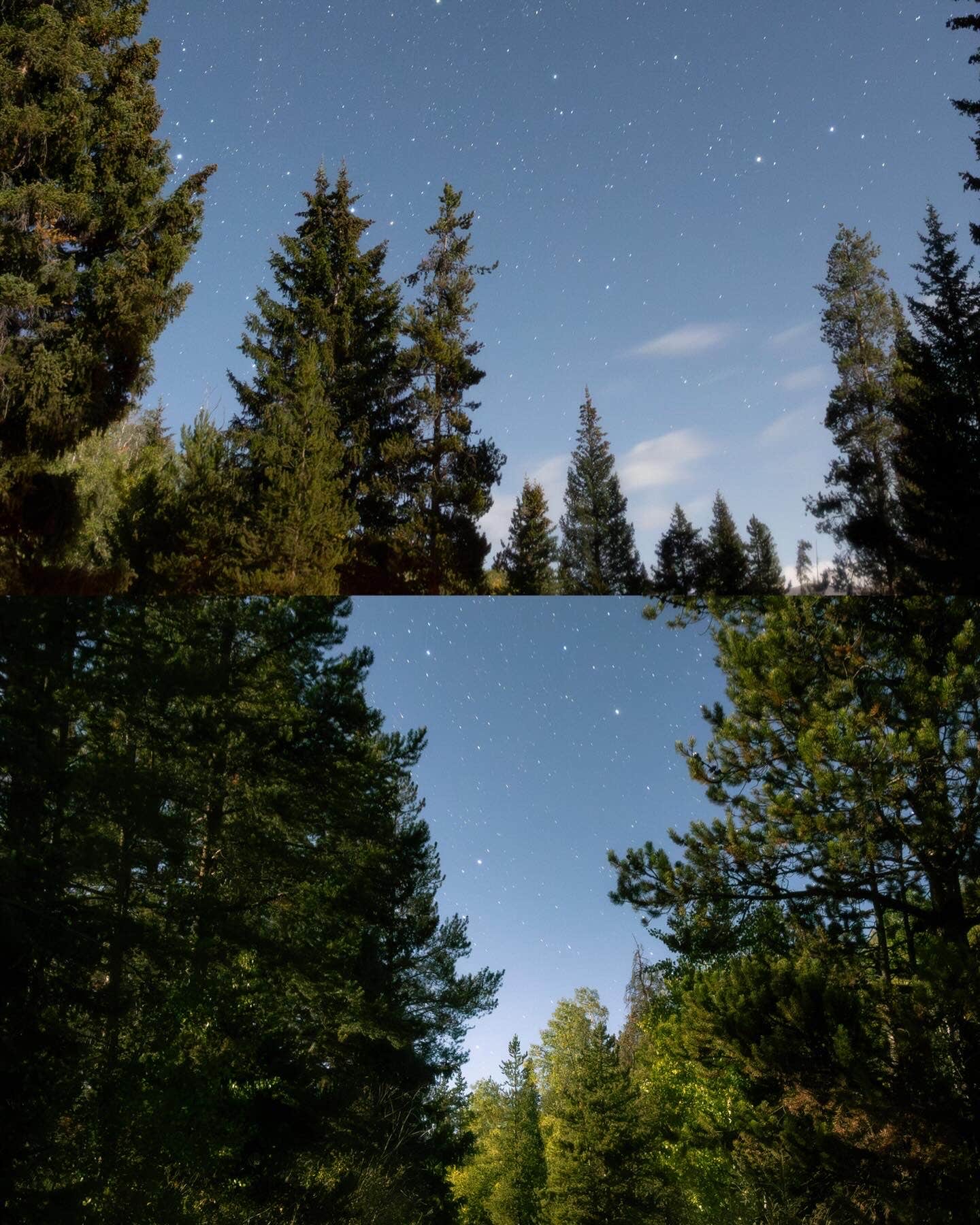 Michael C.'s photo of a dispersed camping area at Rock Creek Designated Dispersed Camping near Dillon, CO
