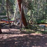Review photo of Rock Creek Designated Dispersed Camping by Walter W., July 4, 2026