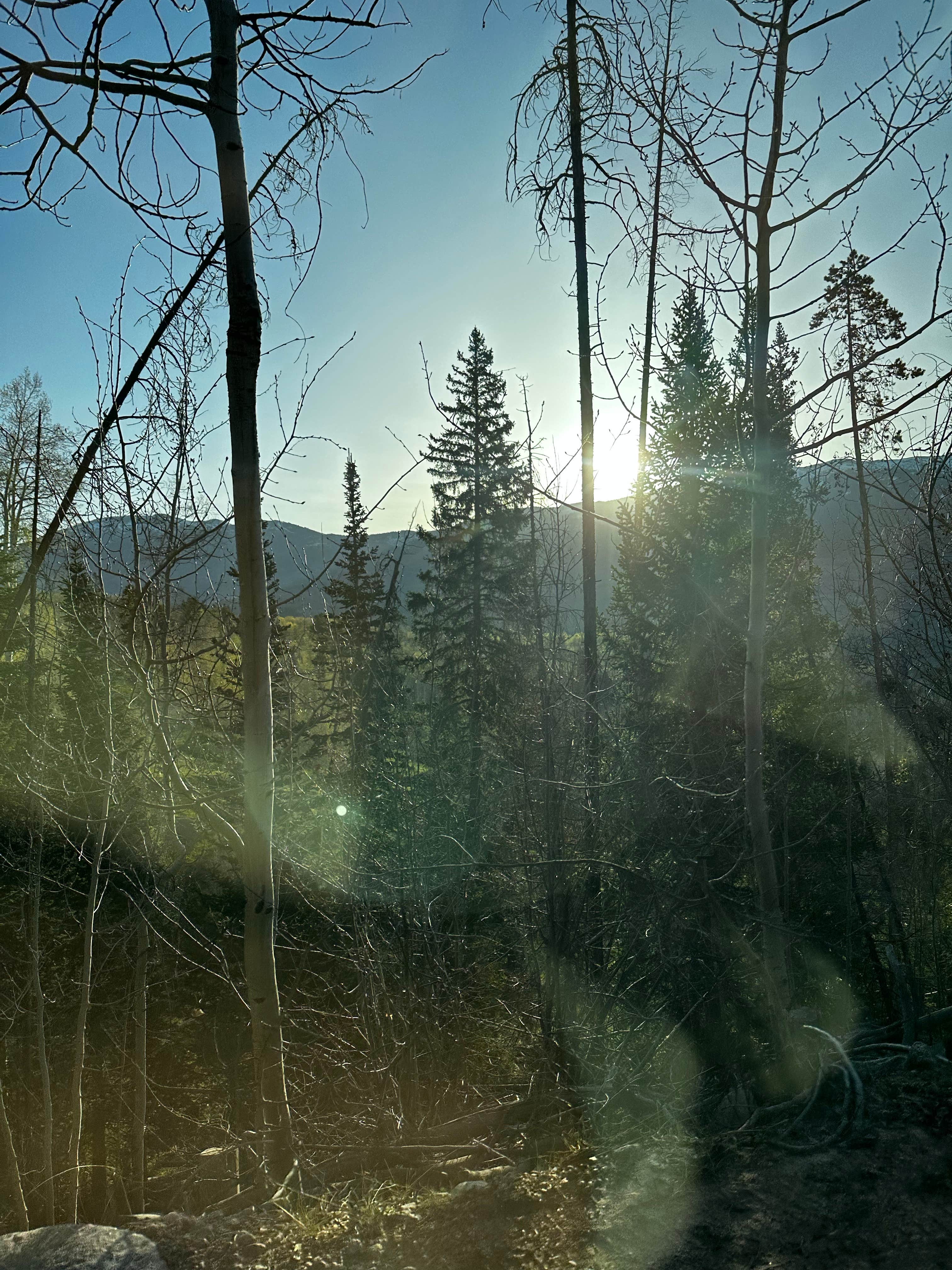 Megan A.'s photo of a dispersed camping area at Rock Creek Designated Dispersed Camping near Vail, CO