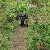 Review photo of Rock Harbor Campground — Isle Royale National Park by Tori K., November 12, 2024