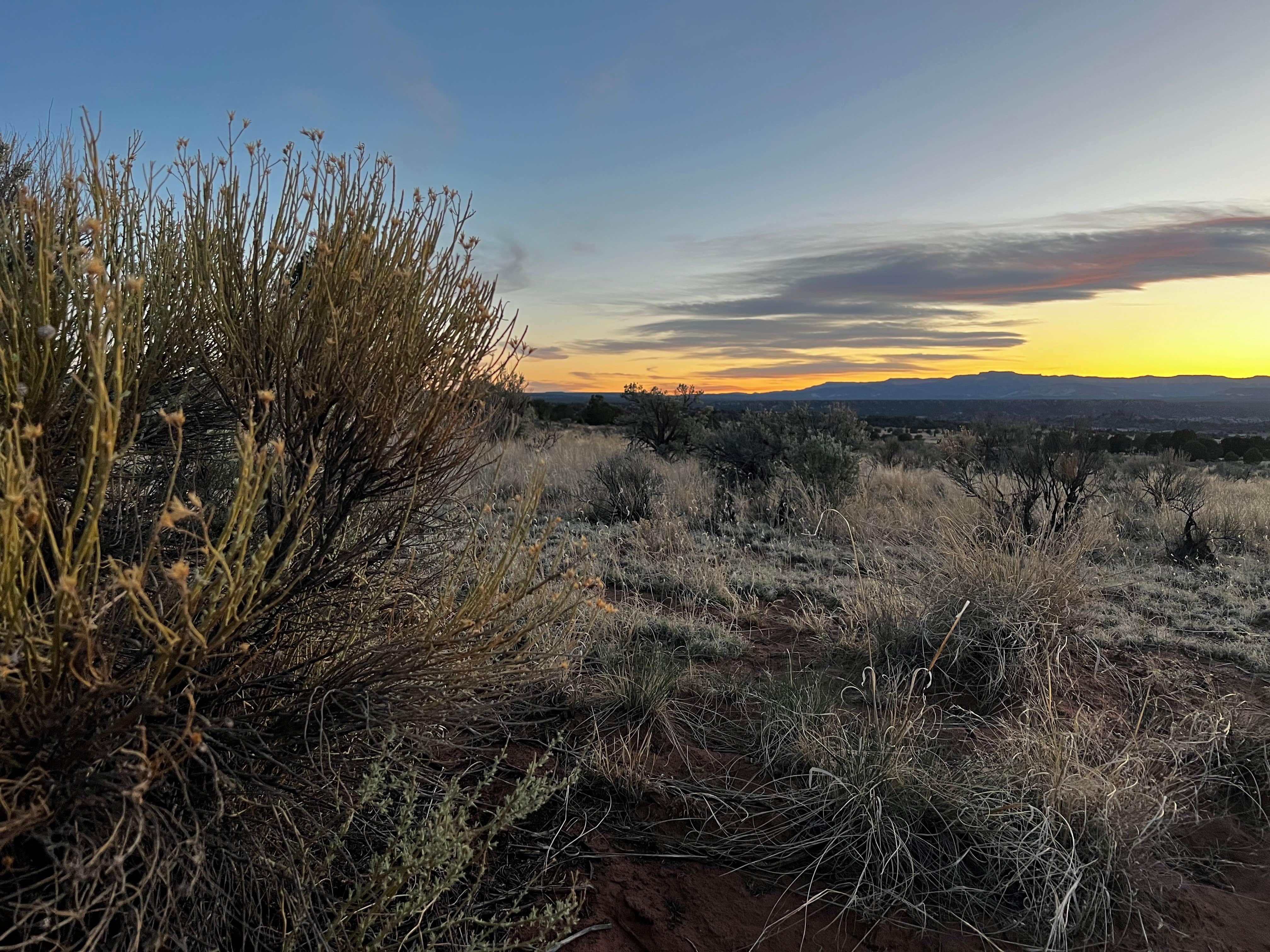 Grant B.'s photo of a dispersed camping area at Rock Springs Bench near Cannonville, UT