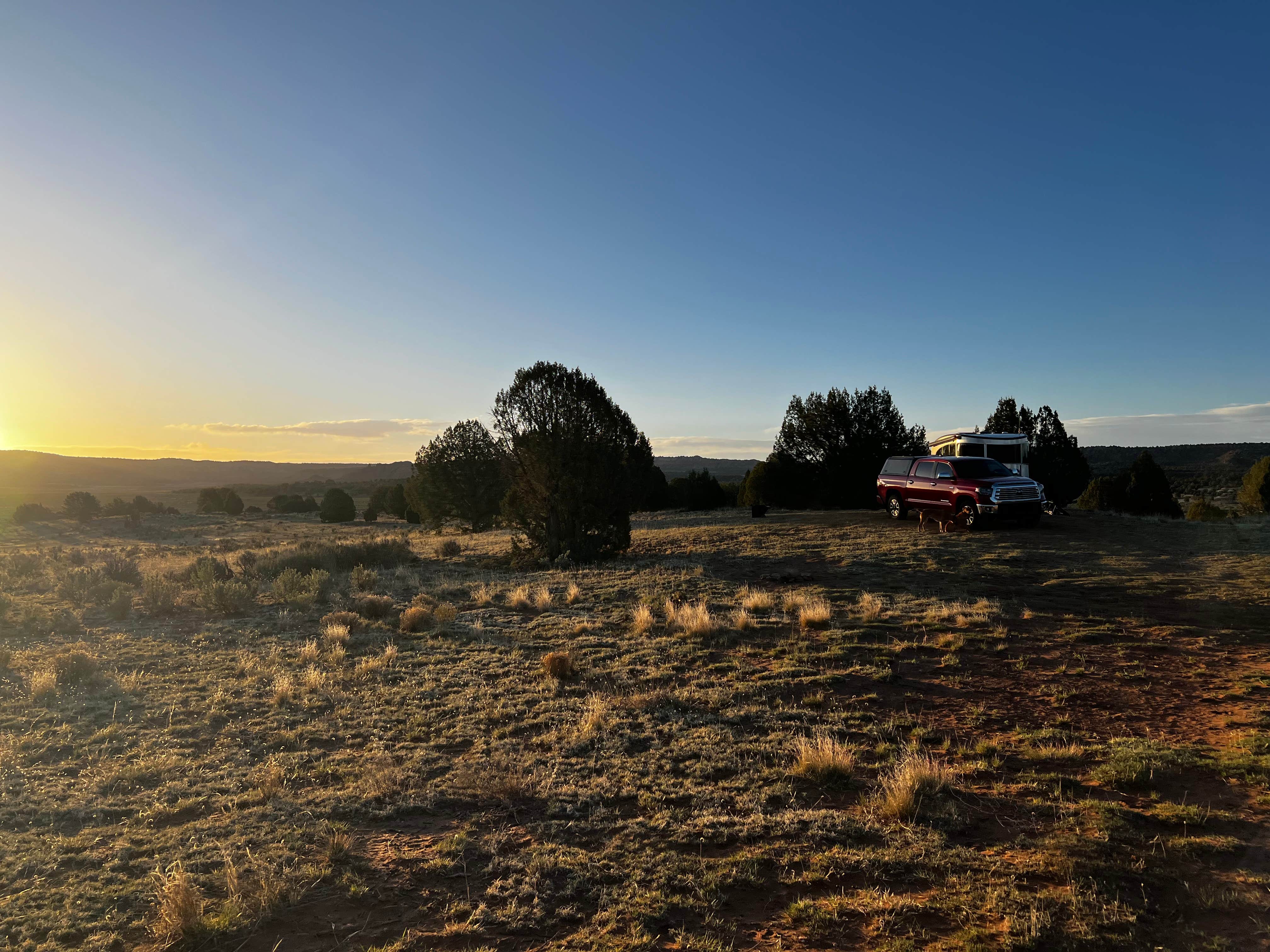 Grant B.'s photo of a dispersed camping area at Rock Springs Bench near Henrieville, UT