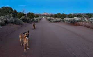 Grant B.'s photo of camping with pets at Rock Springs Bench near Cannonville, UT