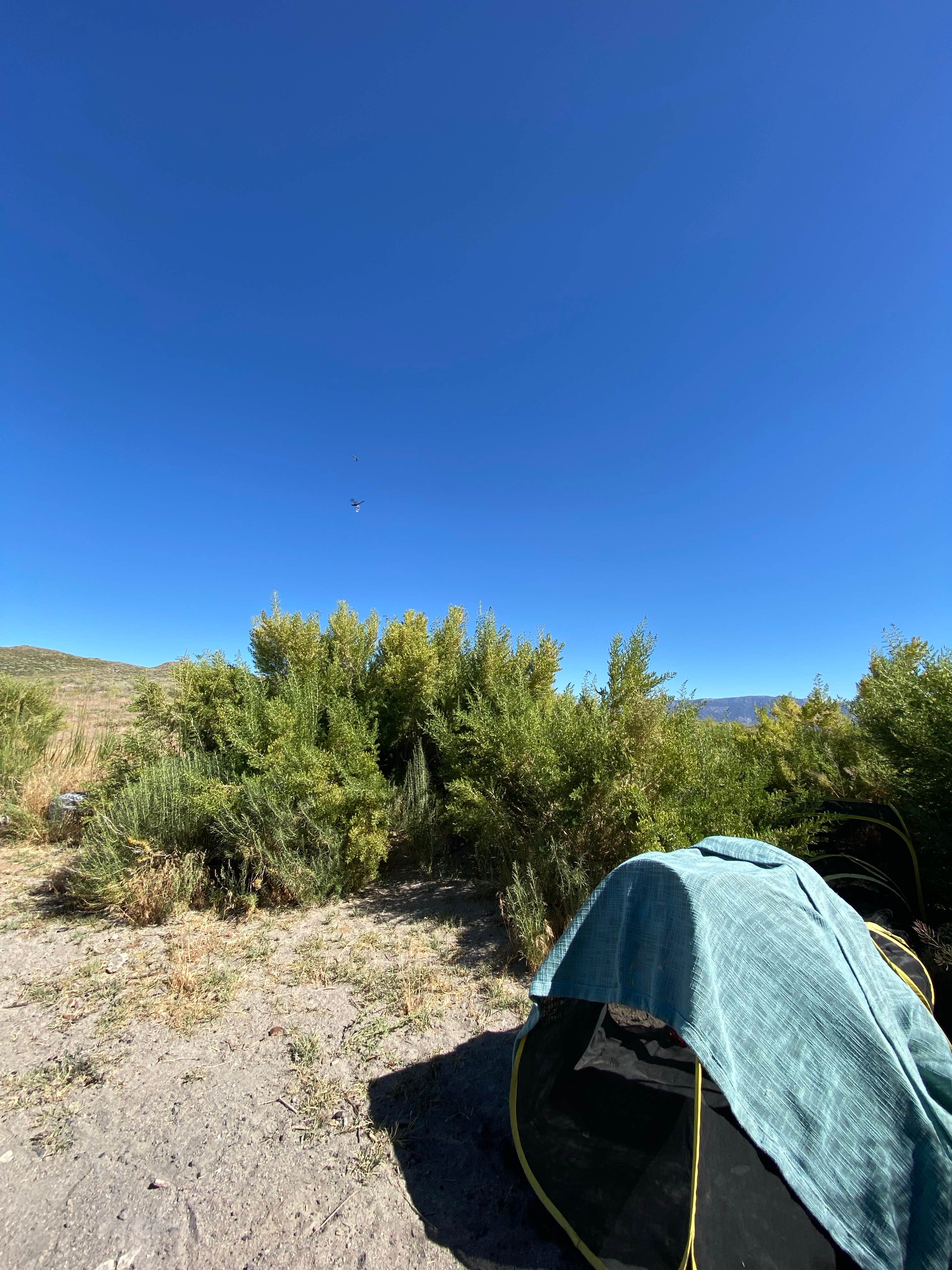 Camping near Wild Willy’s Hot Springs: Rock Tub Hot Springs, Inyo National Forest, California