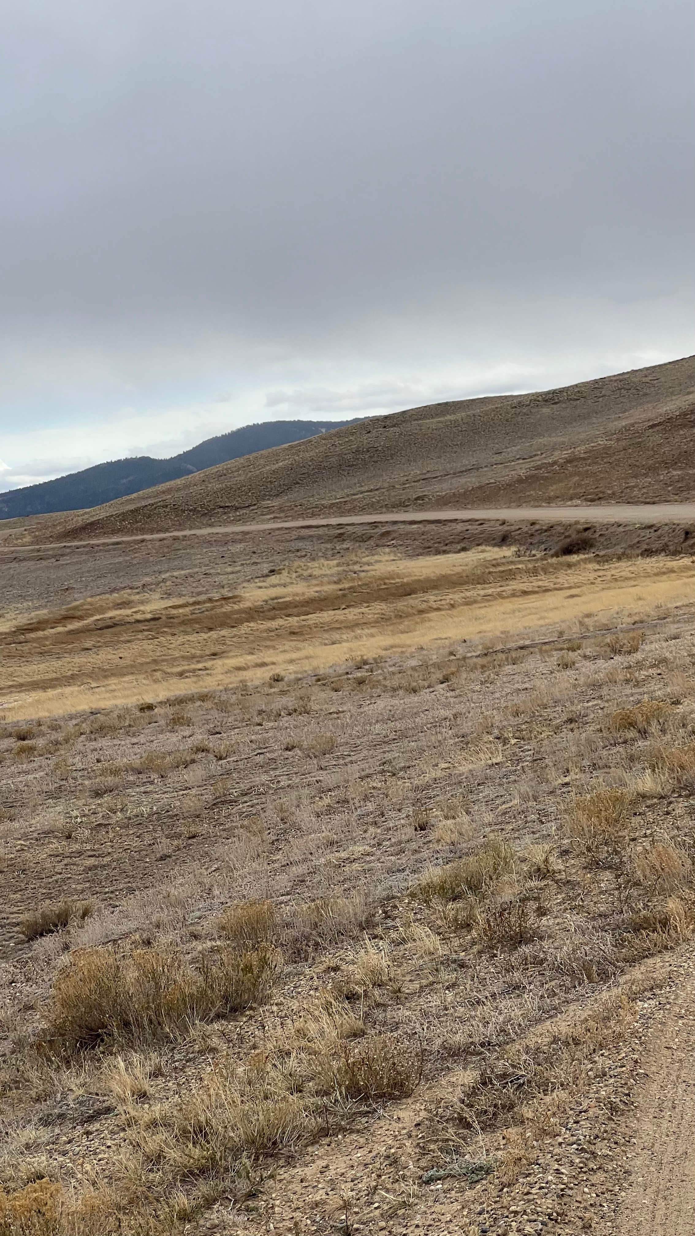 Rocking Chair Campground — Eleven Mile State Park