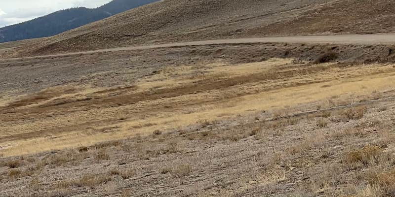 Camper submitted image from Rocking Chair Campground — Eleven Mile State Park