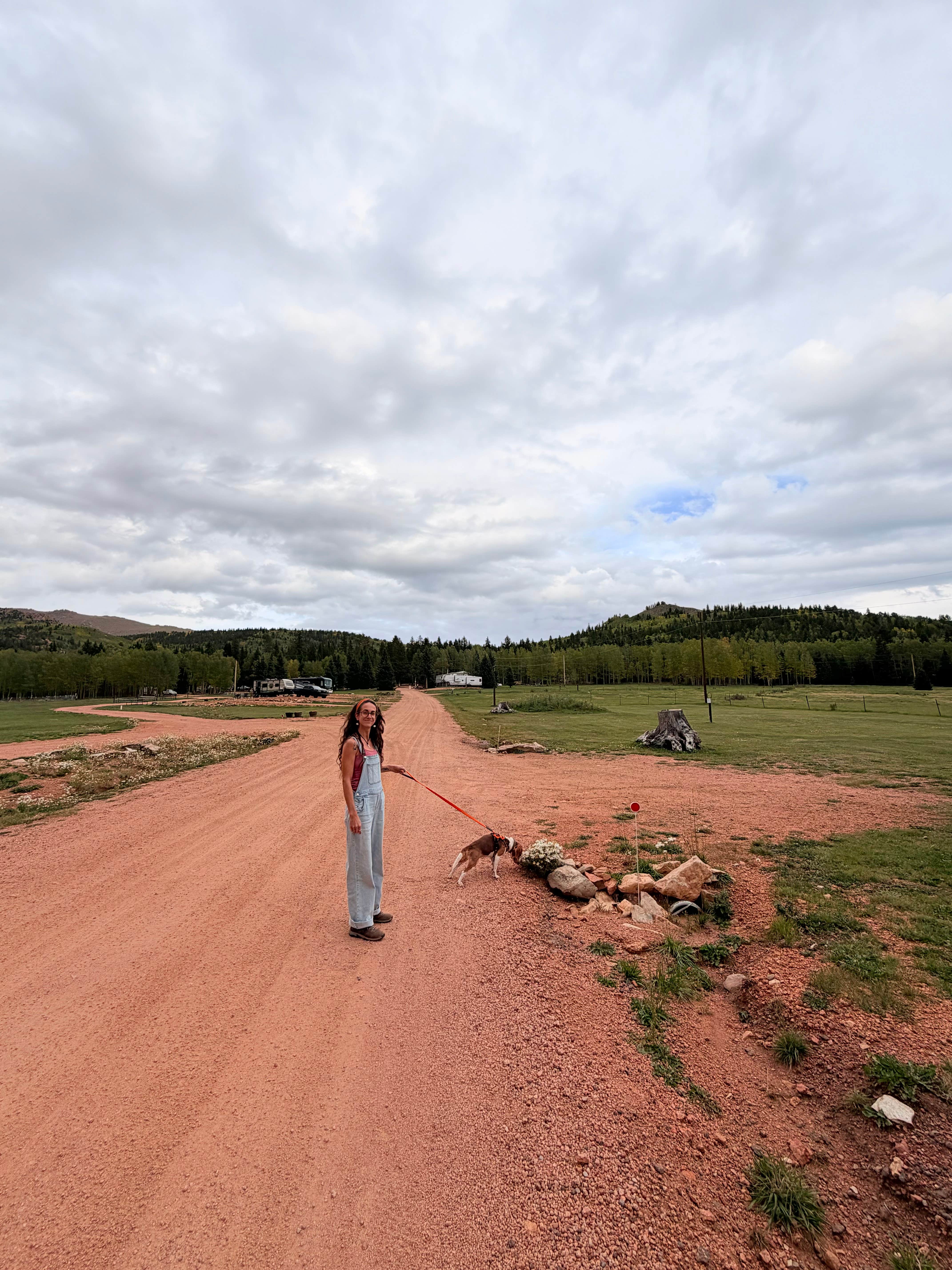 Roads