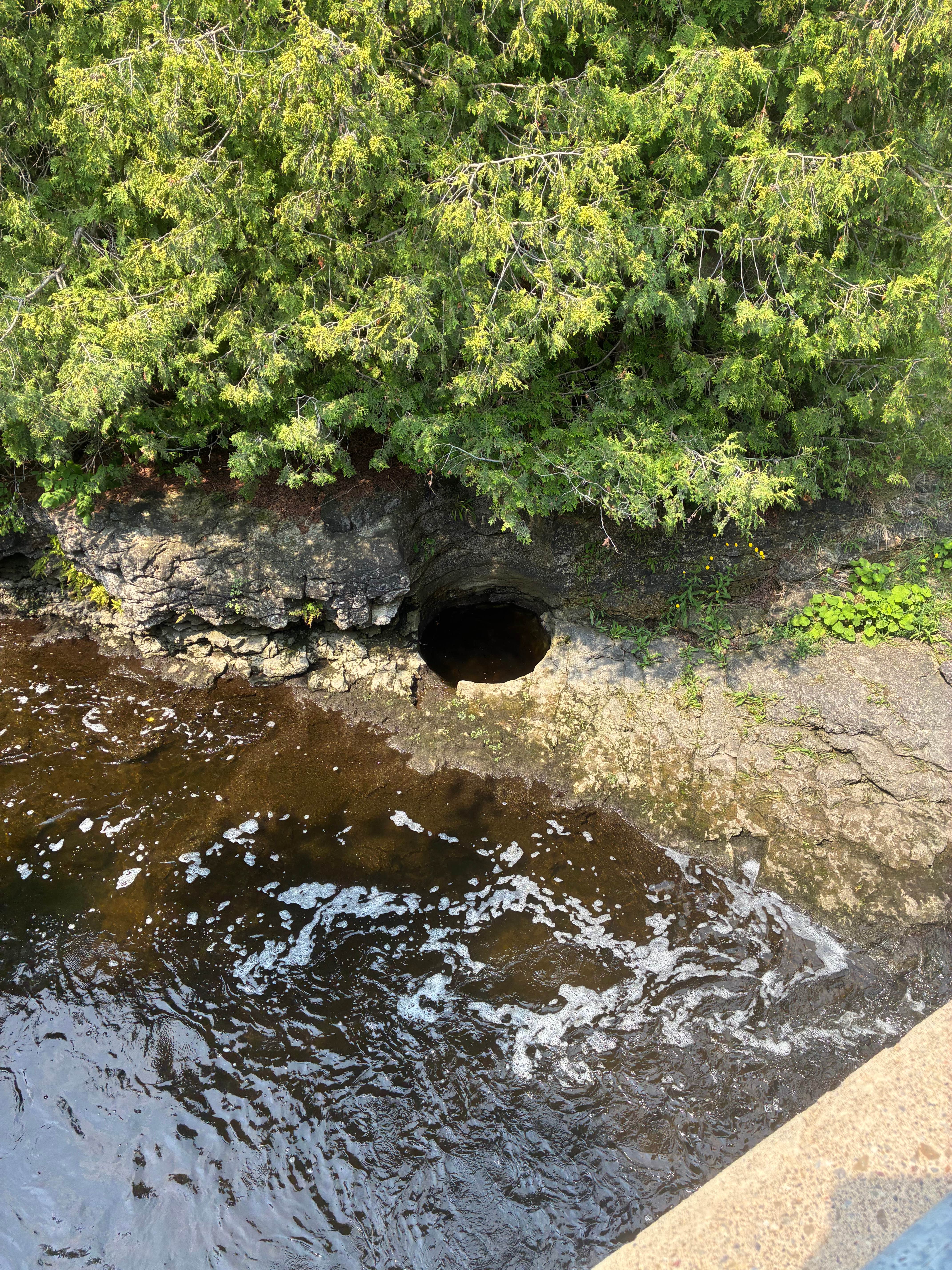 Rockwood conservation area