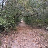 Review photo of Rocky Creek (Somerville Lake) by Lisa M., October 16, 2025