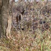 Review photo of Rocky Creek (Somerville Lake) by Lisa M., October 16, 2025