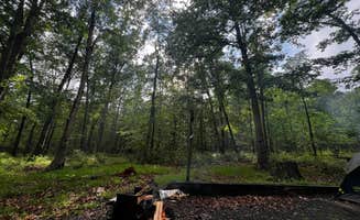 Katie H.'s photo at Rocky Gap State Park Campground near Frostburg, MD